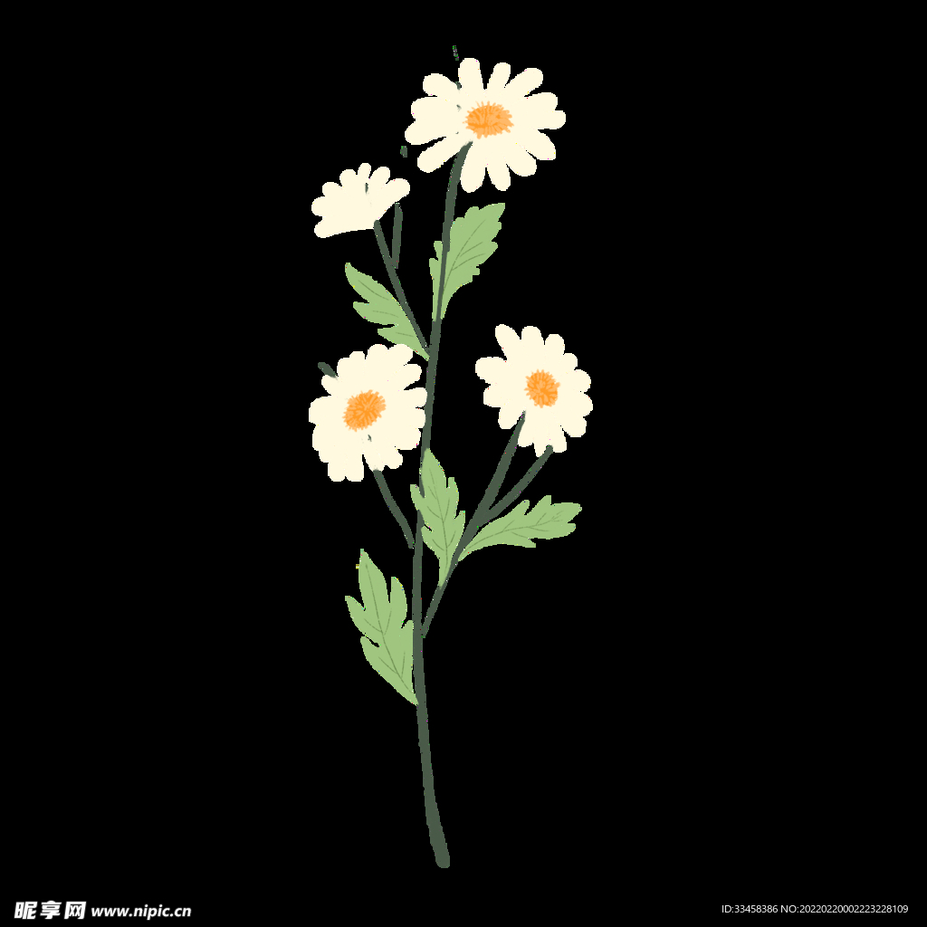 手绘植物清新淡雅雏菊