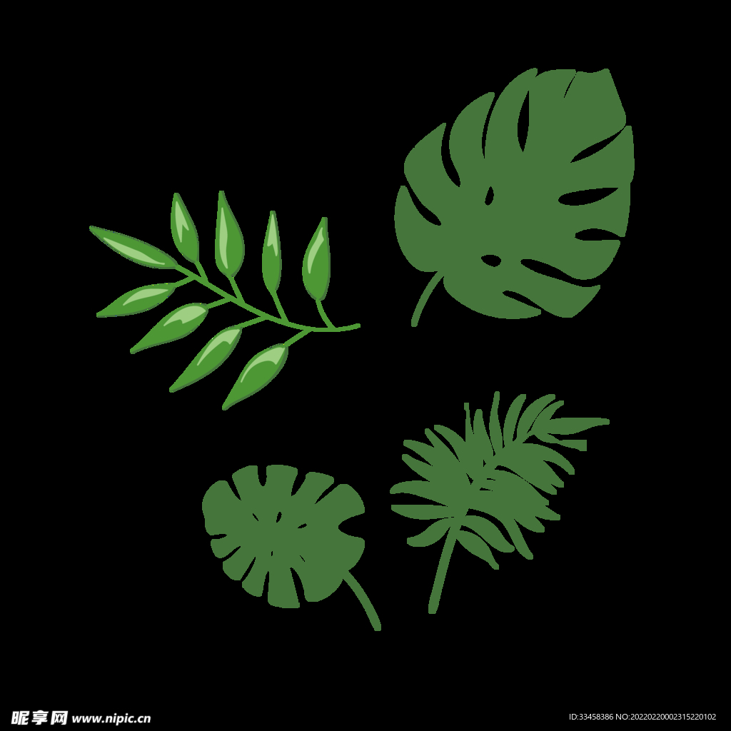 小清新树叶芭蕉