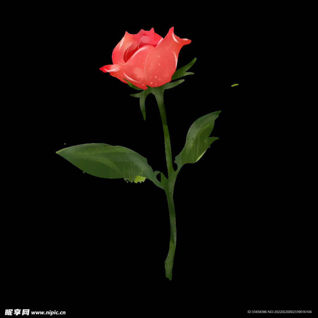 一支粉色玫瑰花手绘插画装饰