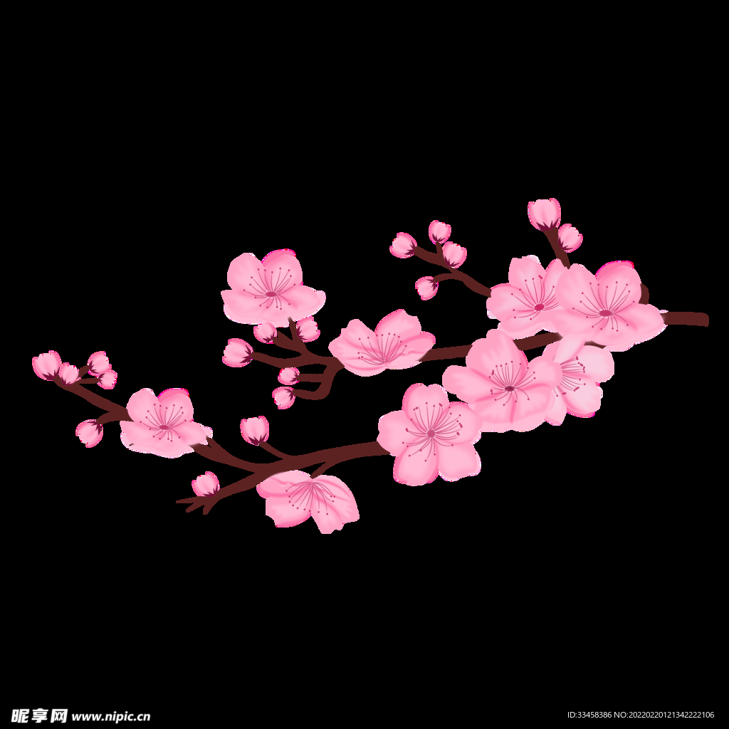 春天樱花盛开矢量图