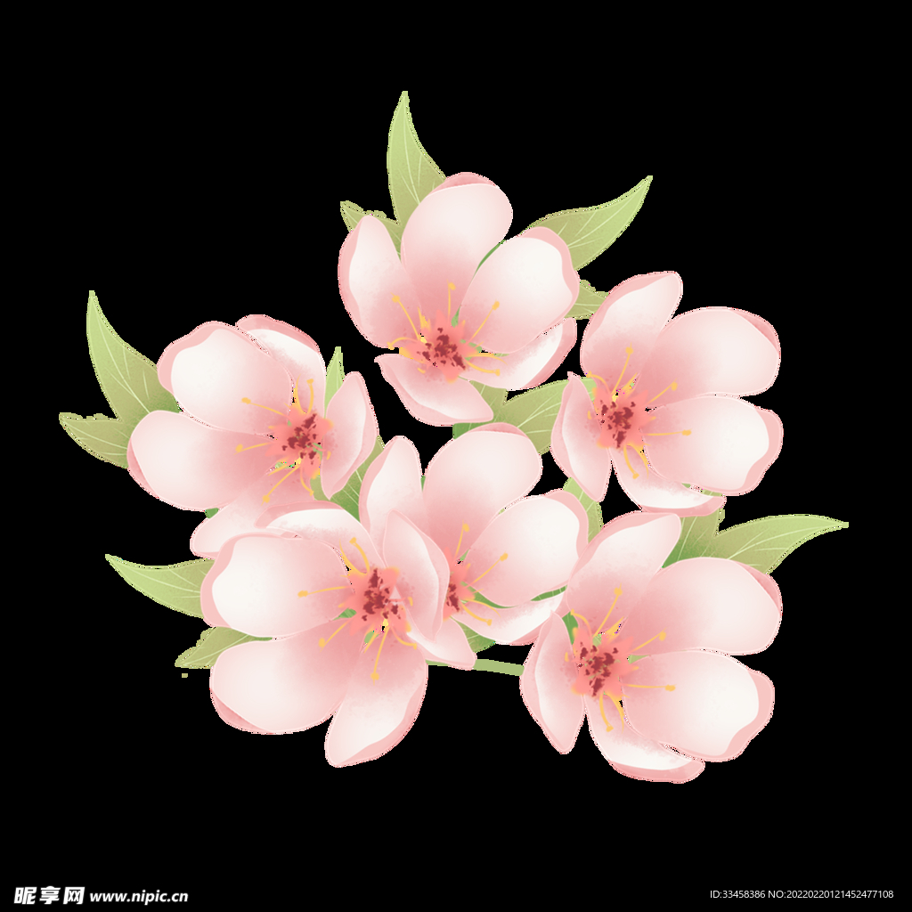 小清新樱花团春天
