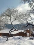 下雪