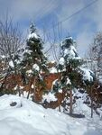 下雪
