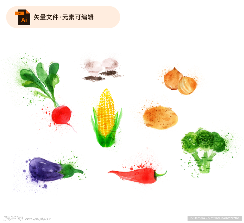水彩蔬菜矢量素材