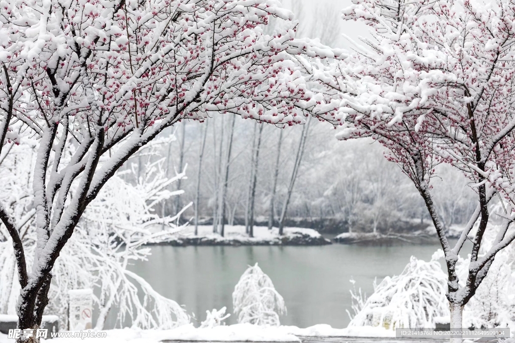 冬日雪景 