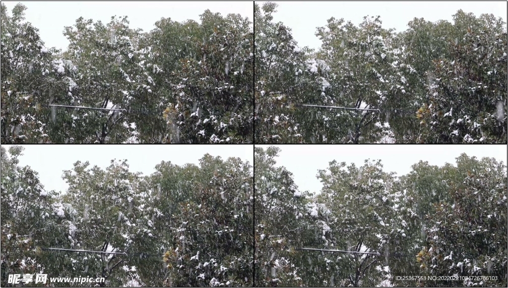 下大雪