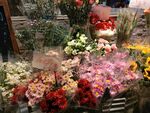 花卉花店