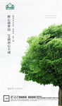 地产植树节节日微信海报