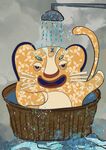 虎头虎脑           