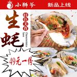 海报 生蚝