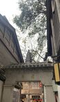 古厝房屋