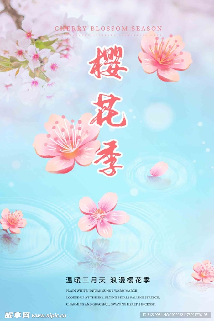 樱花季 