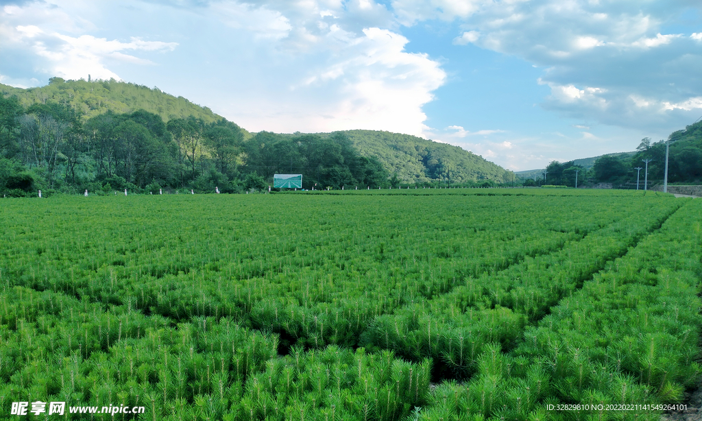 自然风景