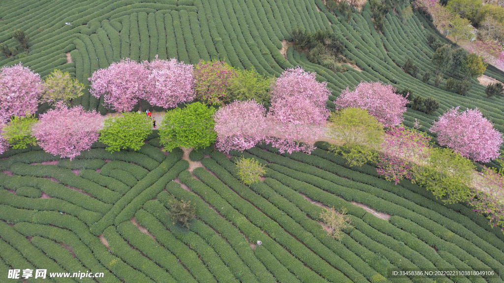 春季自然风光花园