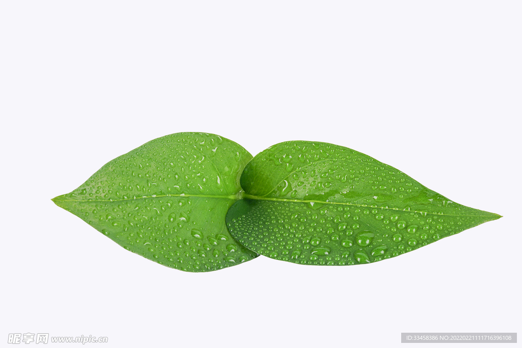 植树节创意主题摄影