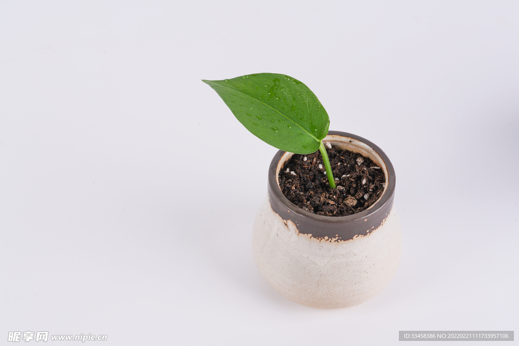 植树节创意主题摄影