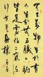 医理真传 杨克东书法 鸿鹄