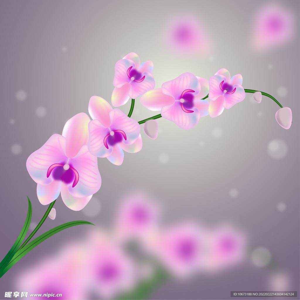 矢量花卉背景 