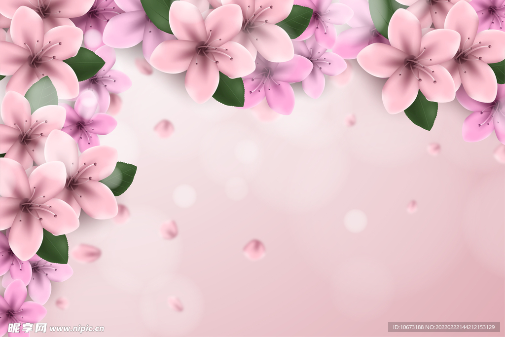 矢量花卉背景 