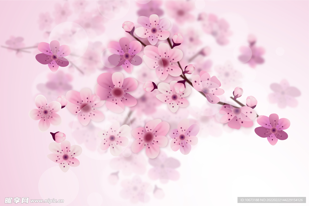 矢量花卉背景 