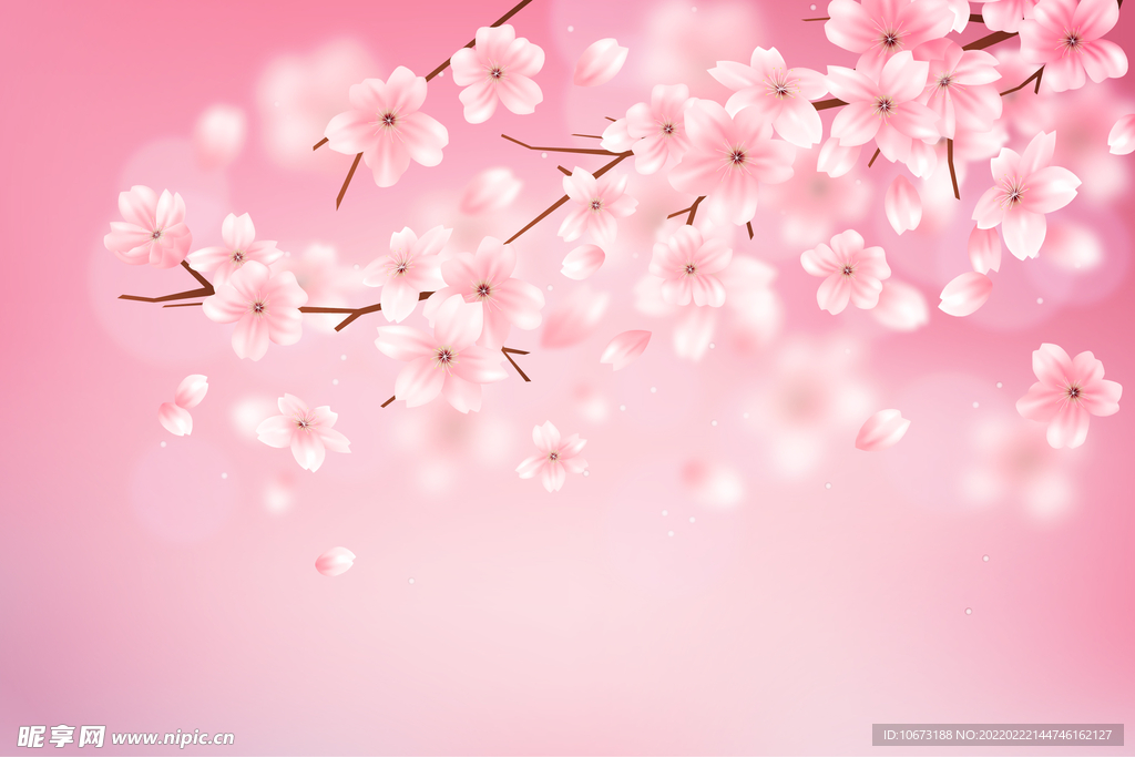 矢量花卉背景 
