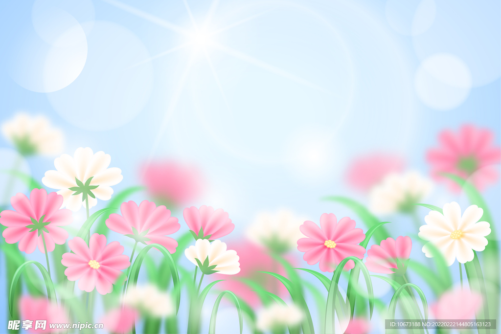矢量花卉背景 