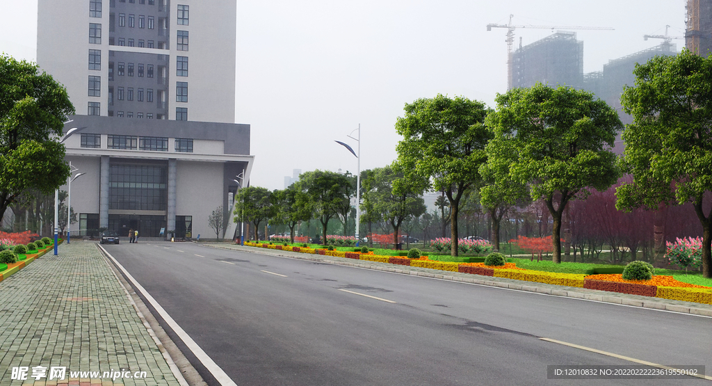 道路绿化