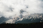 山