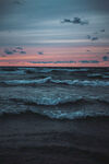海