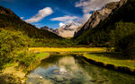 山