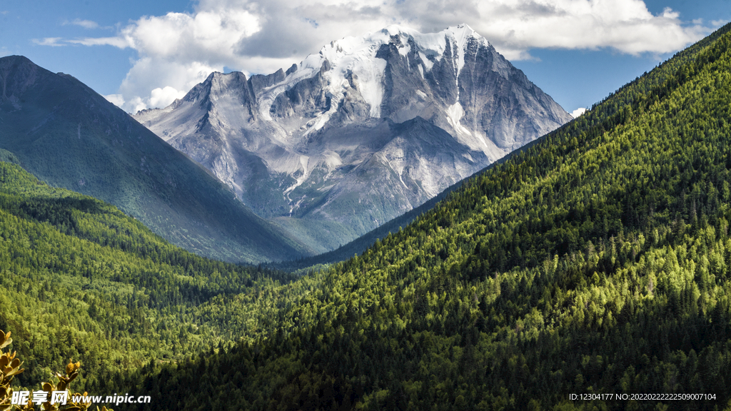 绿水青山