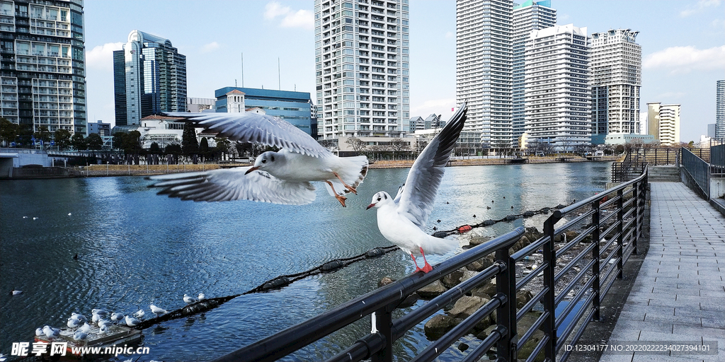 城市