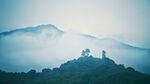 山