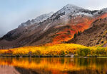 山