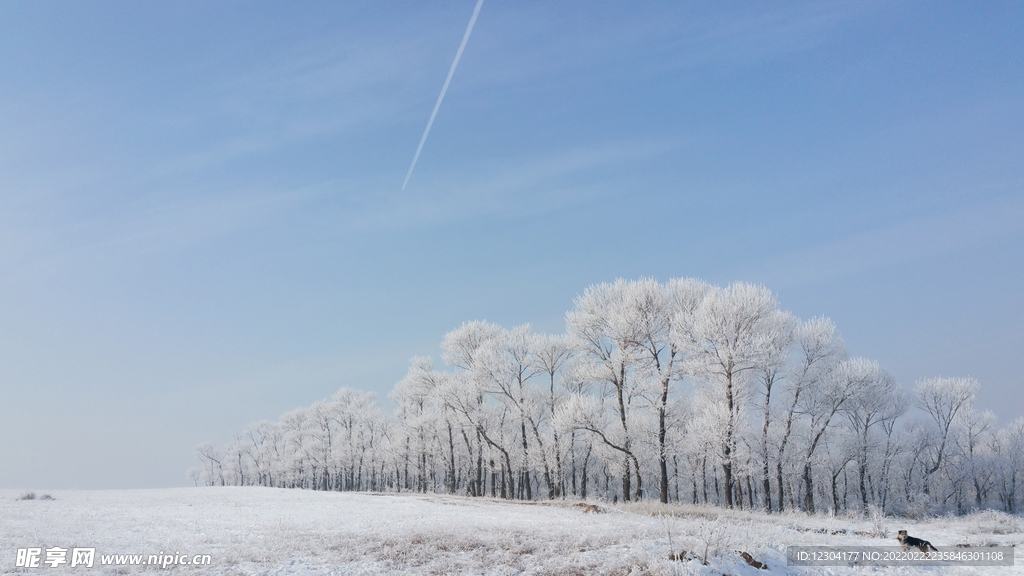 雪地