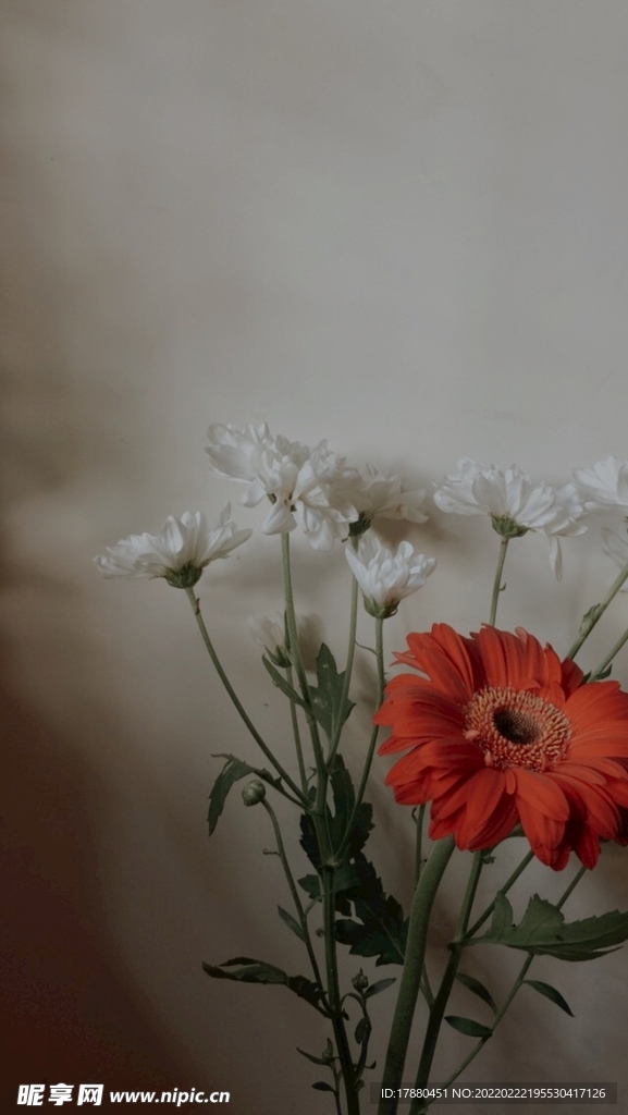 花卉