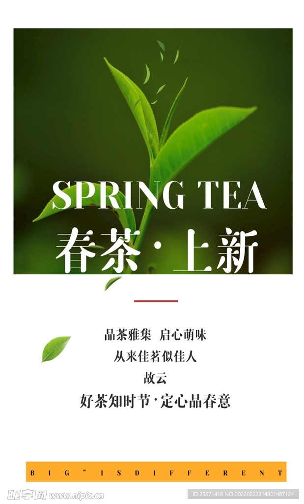 新茶上市海报