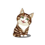 猫              