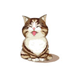 猫              