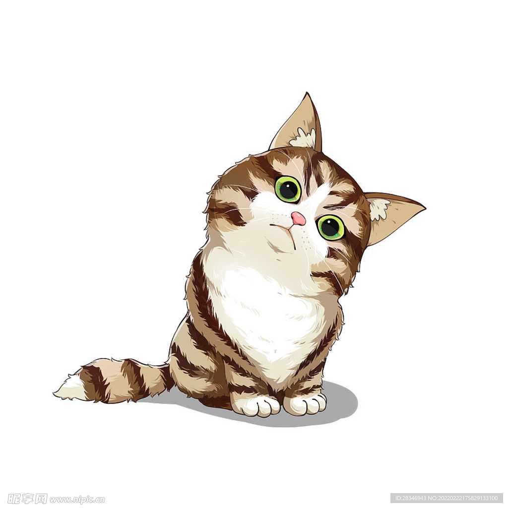 猫              