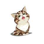 猫              