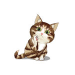 猫              