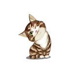 猫              