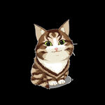 猫              