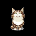 猫              