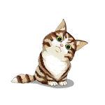 猫              