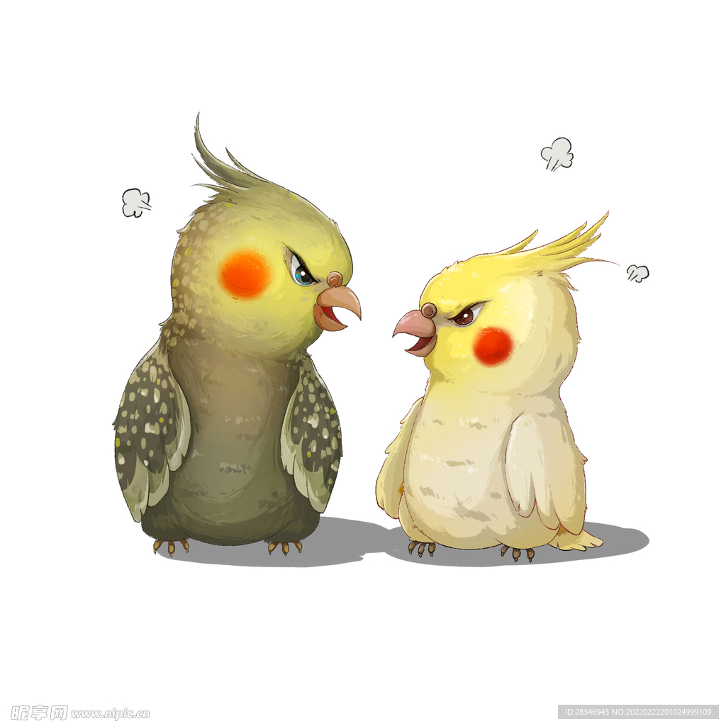 鹦鹉