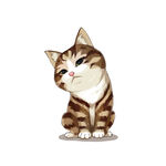 猫              