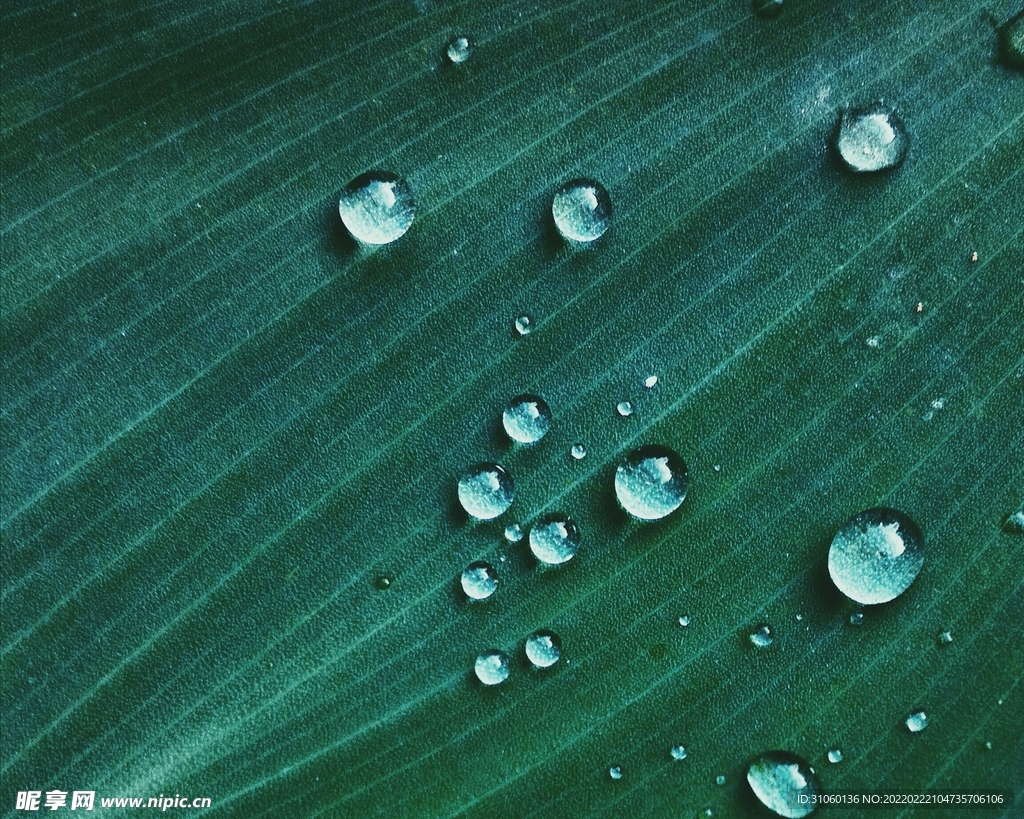 水