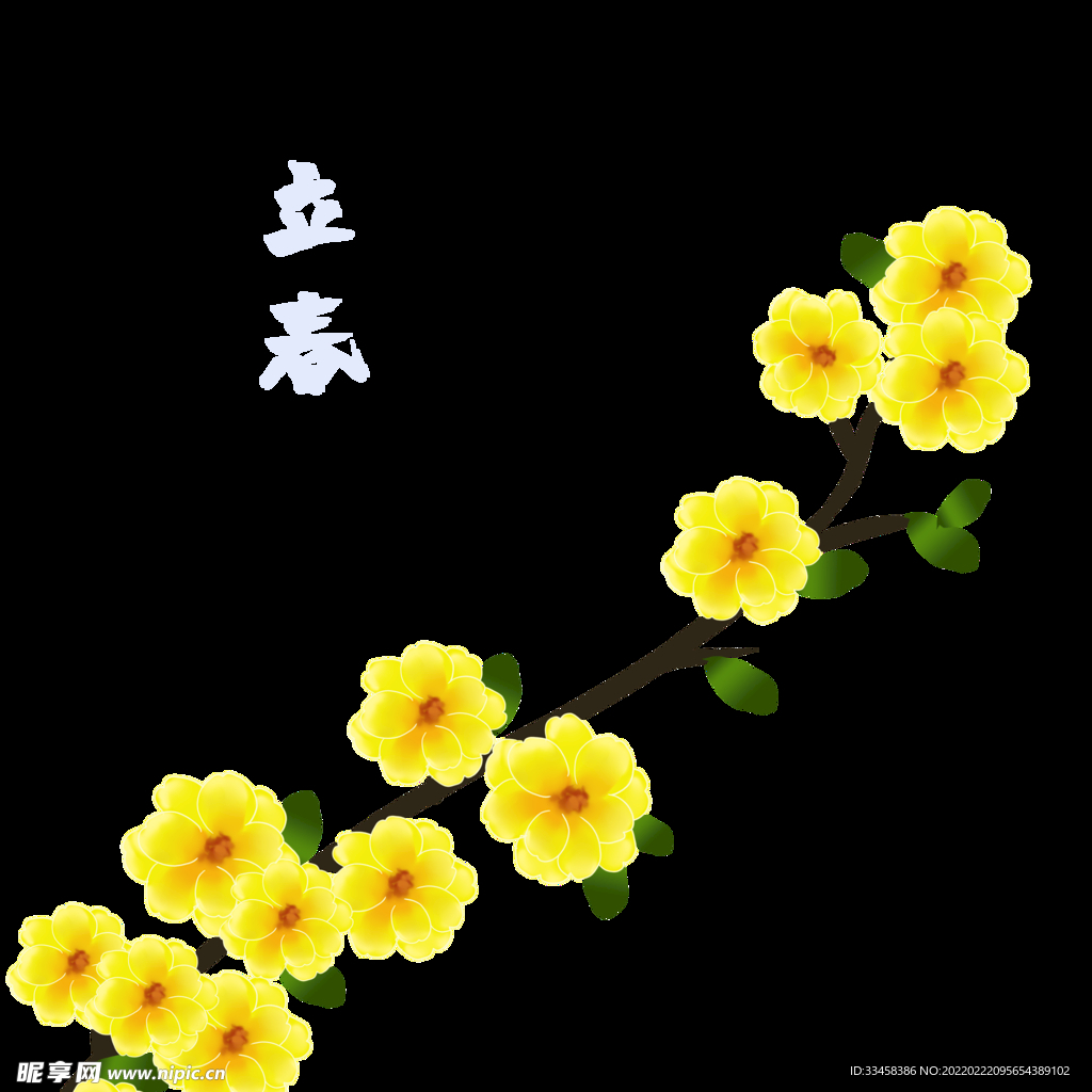 立春黄色花枝
